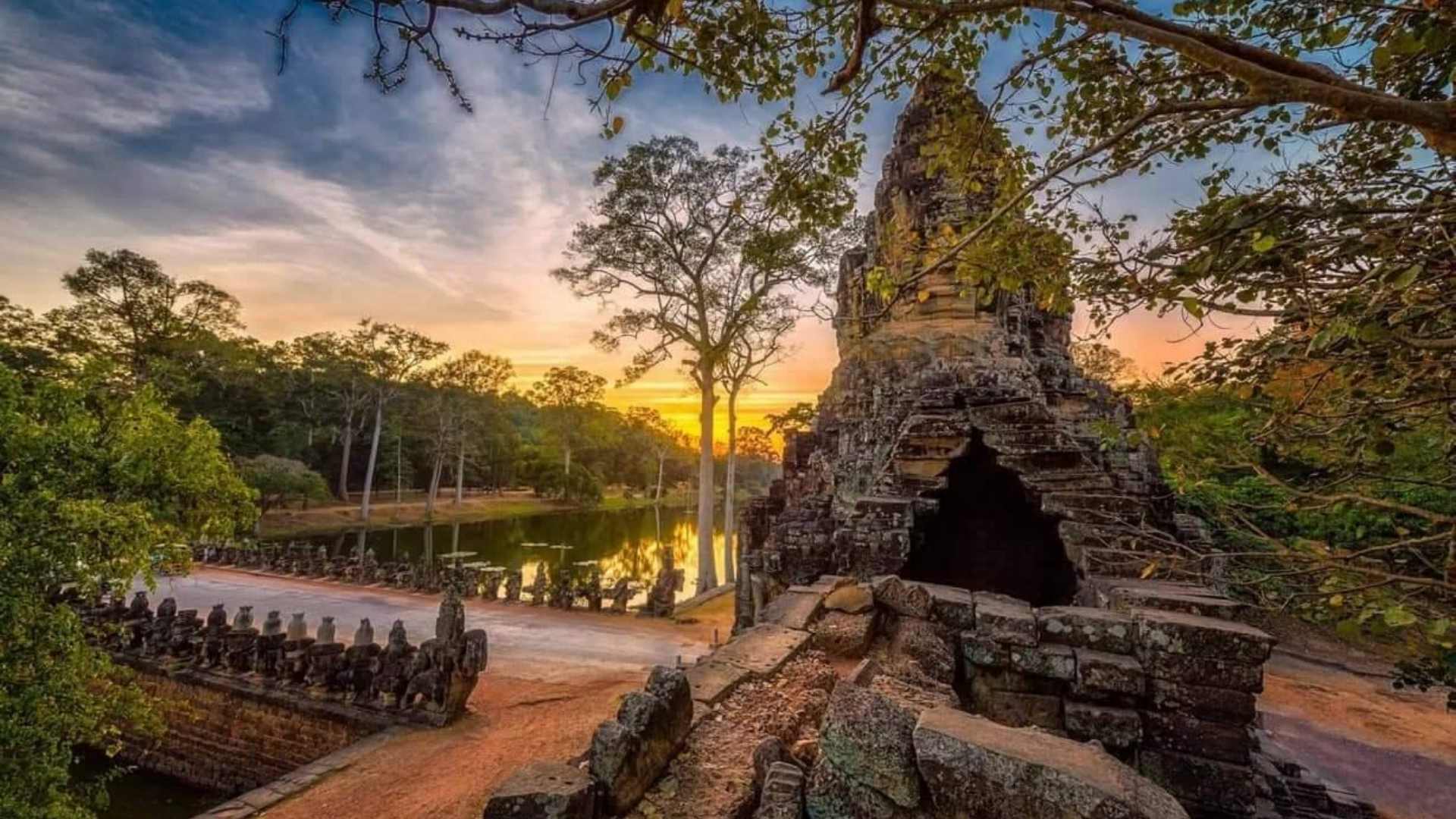 Siem Reap Wildlife Blend