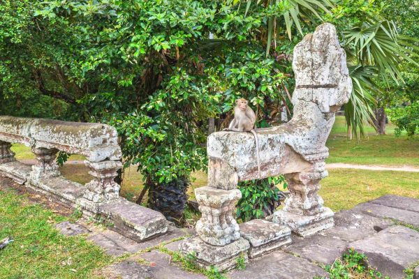 Cambodia Wildlife & Adventure – 2 weeks package